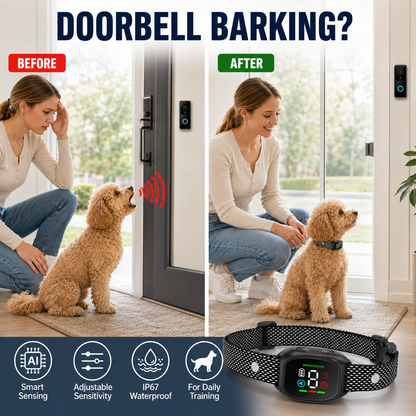 Anti Bark Collar – Smart anti‑false triggering filters out other barks.
