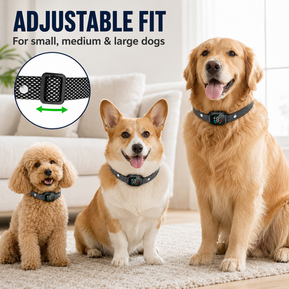 Anti Bark Collar – Smart anti‑false triggering filters out other barks.