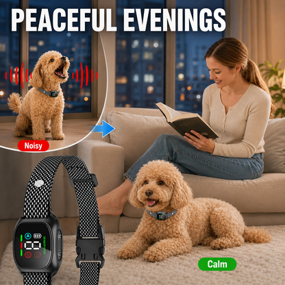 Anti Bark Collar – Smart anti‑false triggering filters out other barks.